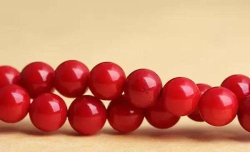 不負(fù)重托——助走私珍貴動(dòng)物制品罪當(dāng)事人獲輕判